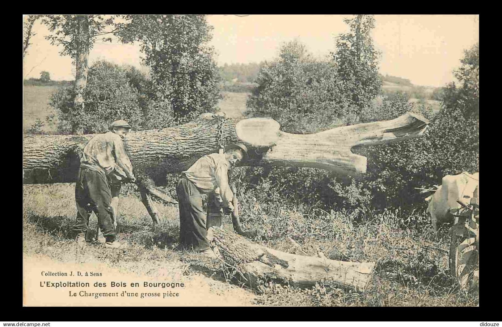 89 - Bourgogne - L'exploitation des Bois en Bourgogne - Le Chargement d'une grosse pièce - Animée - Bucherons - Métiers