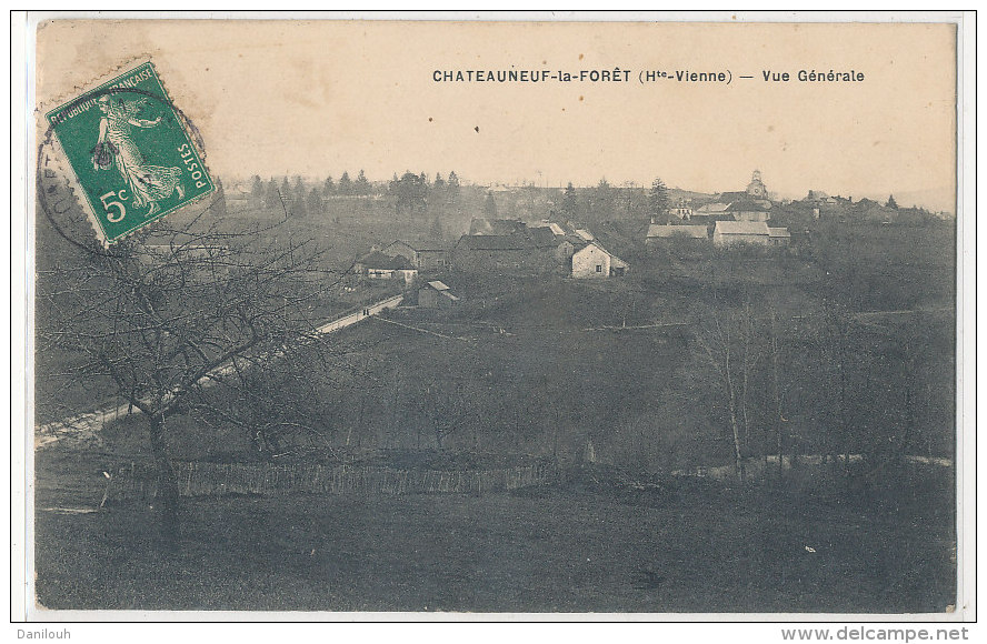 89  // CHATEAUNEUF LA FORET   vue générale