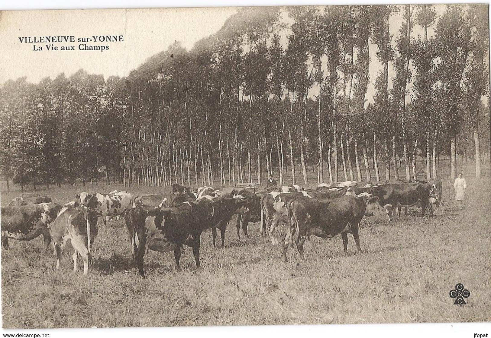 89 YONNE - VILLENEUVE SUR YONNE la vie aux Champs