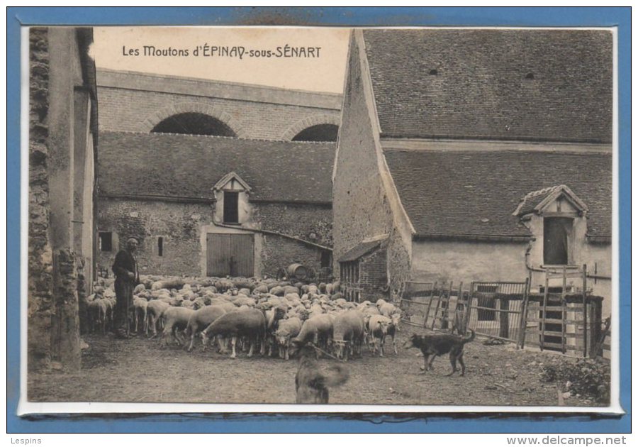 91 - EPINAY sous SENART -- Les Moutons