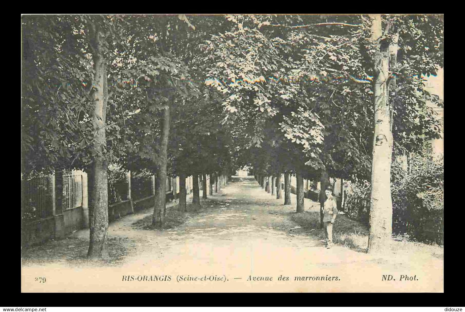 91 - Ris Orangis - Avenue des marronniers - Animée - CPA - Voir Scans Recto-Verso