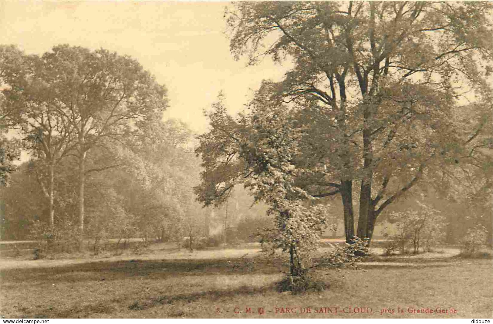 92 - Saint Cloud - Parc de Saint Cloud - Près la Grande Gerbe - CPA - Voir Scans Recto-Verso