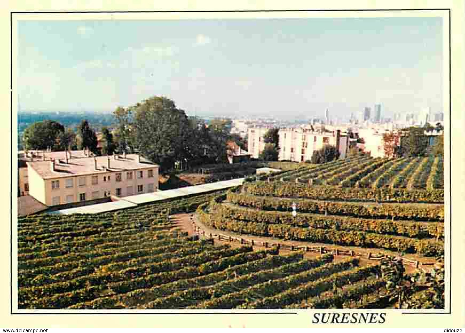 92 - Suresnes - Domaine de la Ville de Suresnes - CPM - Voir Scans Recto-Verso