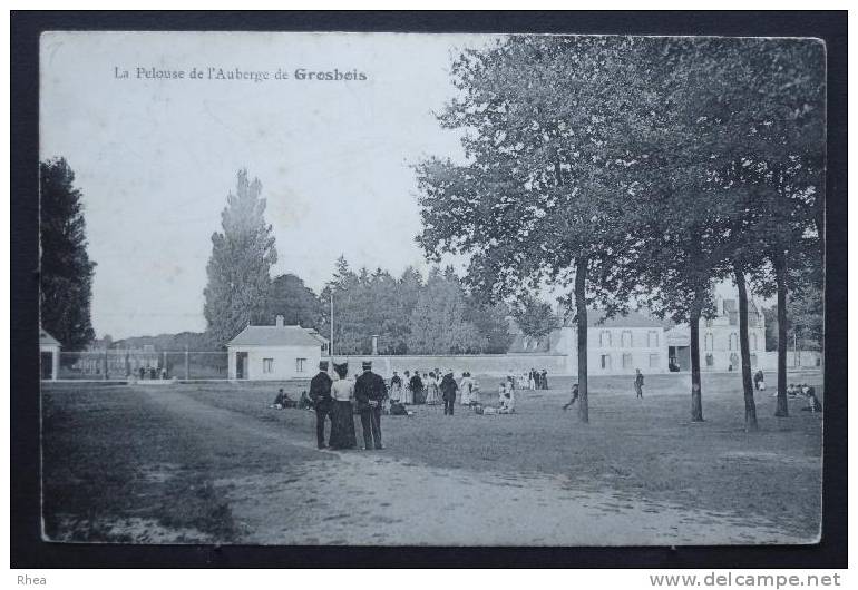 94 - BOISSY-SAINT-LEGER - La pelouse de l'Auberge de Grosbois