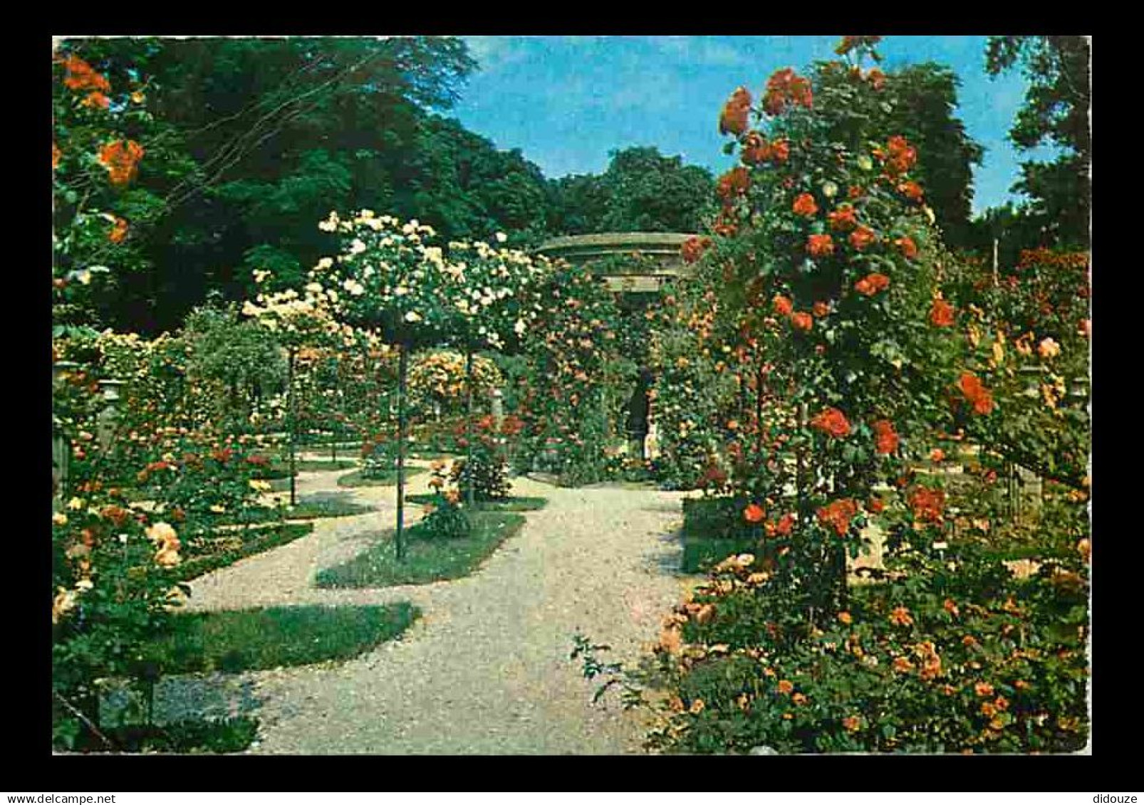 94 - L'Hay les Roses - La Roseraie - Fleurs - CPM - Voir Scans Recto-Verso