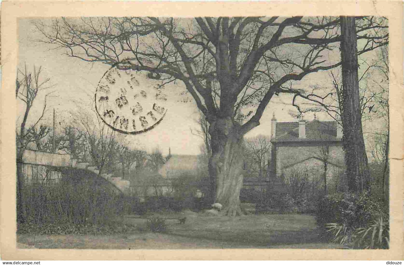 94 - Saint Maur des Fosses - Parc Saint Maur - Le grand chêne - Arbre remarquable - CPA - Oblitération de 1929 - Voir Sc