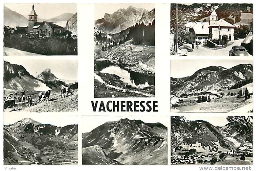 A-16 8637 : VACHERESSE