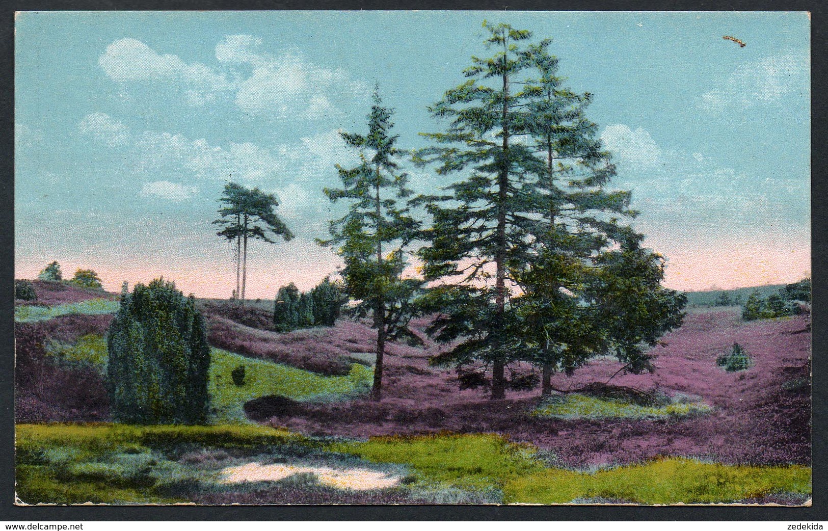 A1271 - alte Ansichtskarte  -  Lüneburger Heide - Landschaft bei Wilsede