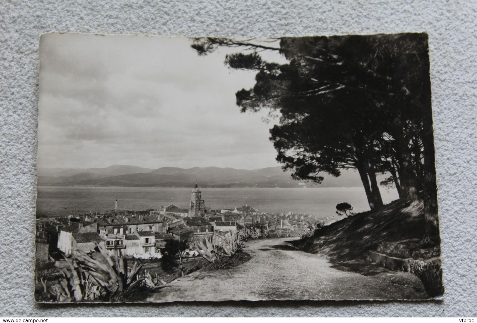 A678, Cpm, Saint Tropez, sur le chemin de la citadelle, Var 83