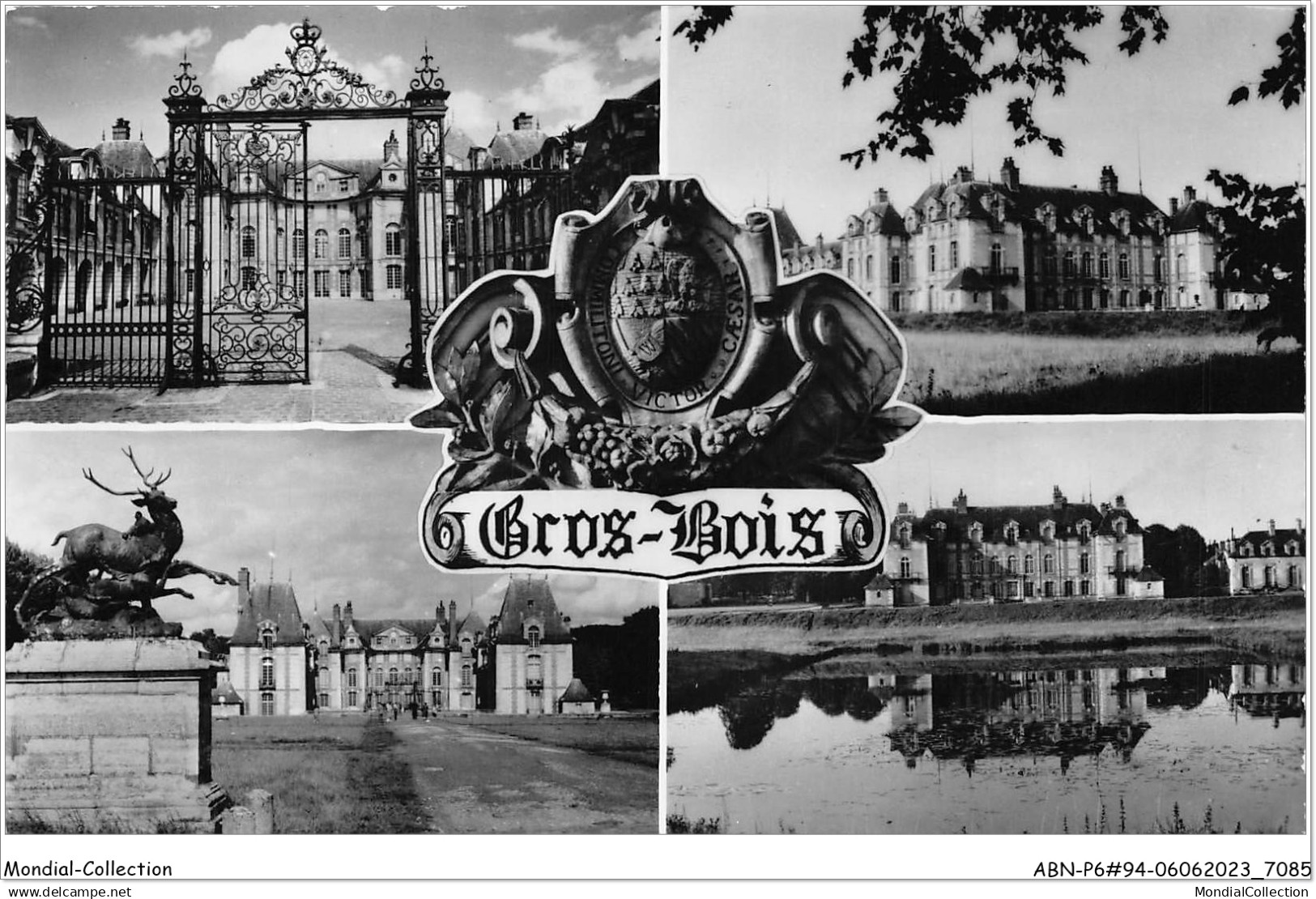 ABNP6-94-0471 - chateau de GROSBOIS - divers aspects du chateau