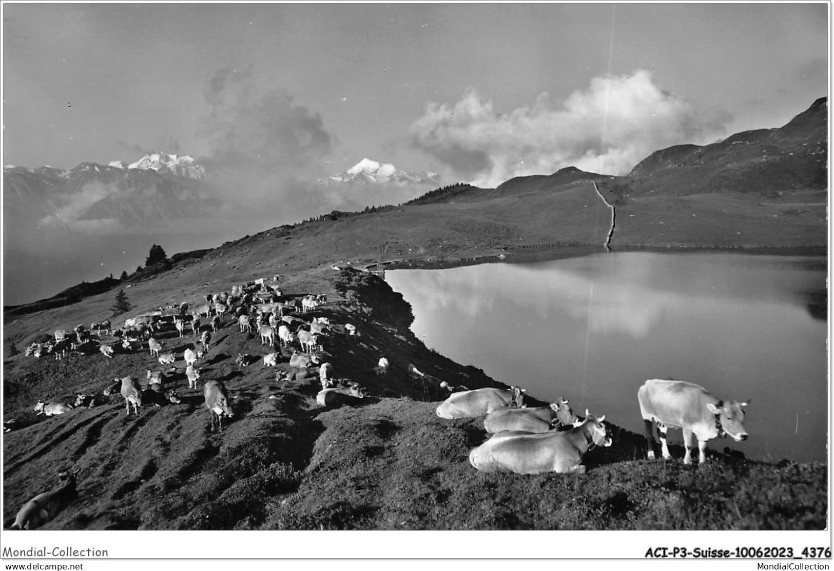 ACIP3-SUISSE-0224 - BETTMERALP - BETTMERSEE OB BETTEN