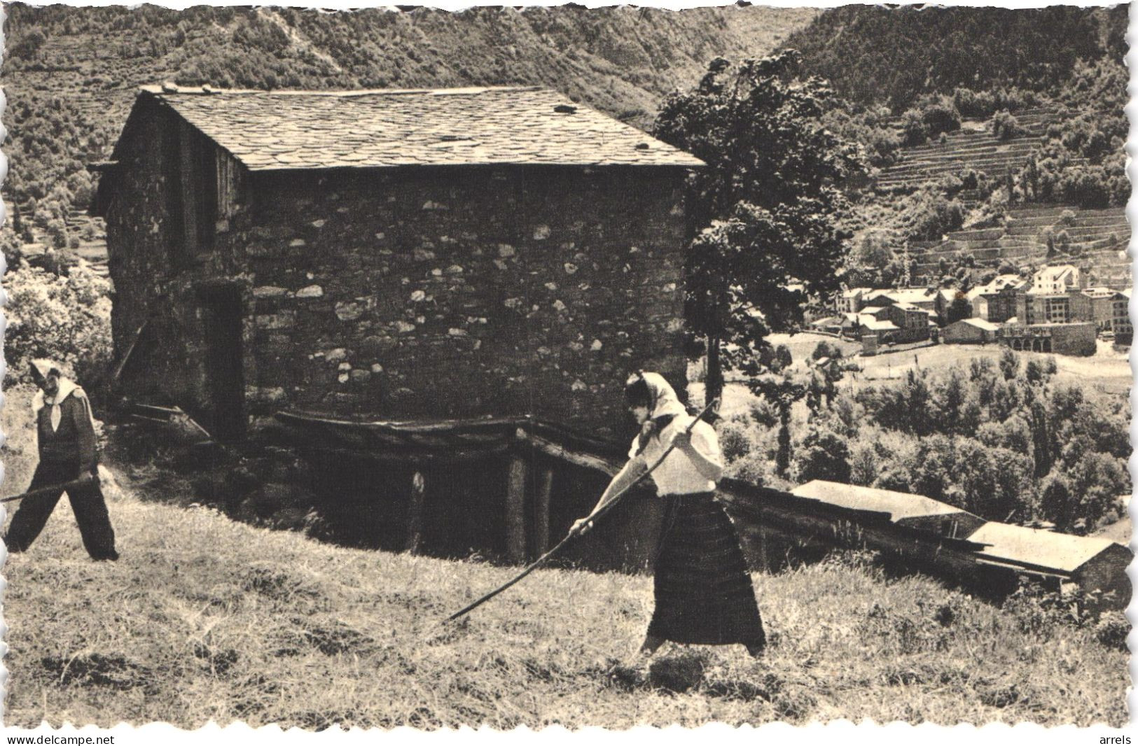 AD ANDORRE - VHT 3 - ENGORDANY - recueillant l'herbe - animée - belle