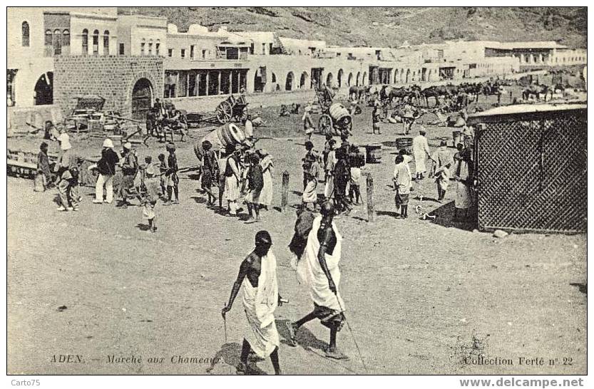 ADEN - YEMEN - Marché aux chameaux.