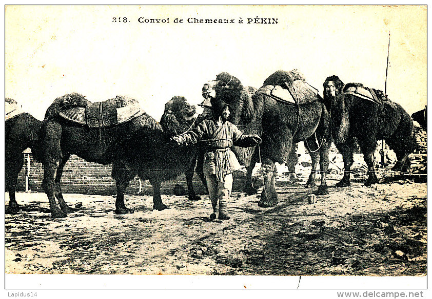 AE 366  / C P A - CHINE -  PEKIN - CONVOI DE CHAMEAUX A PEKIN