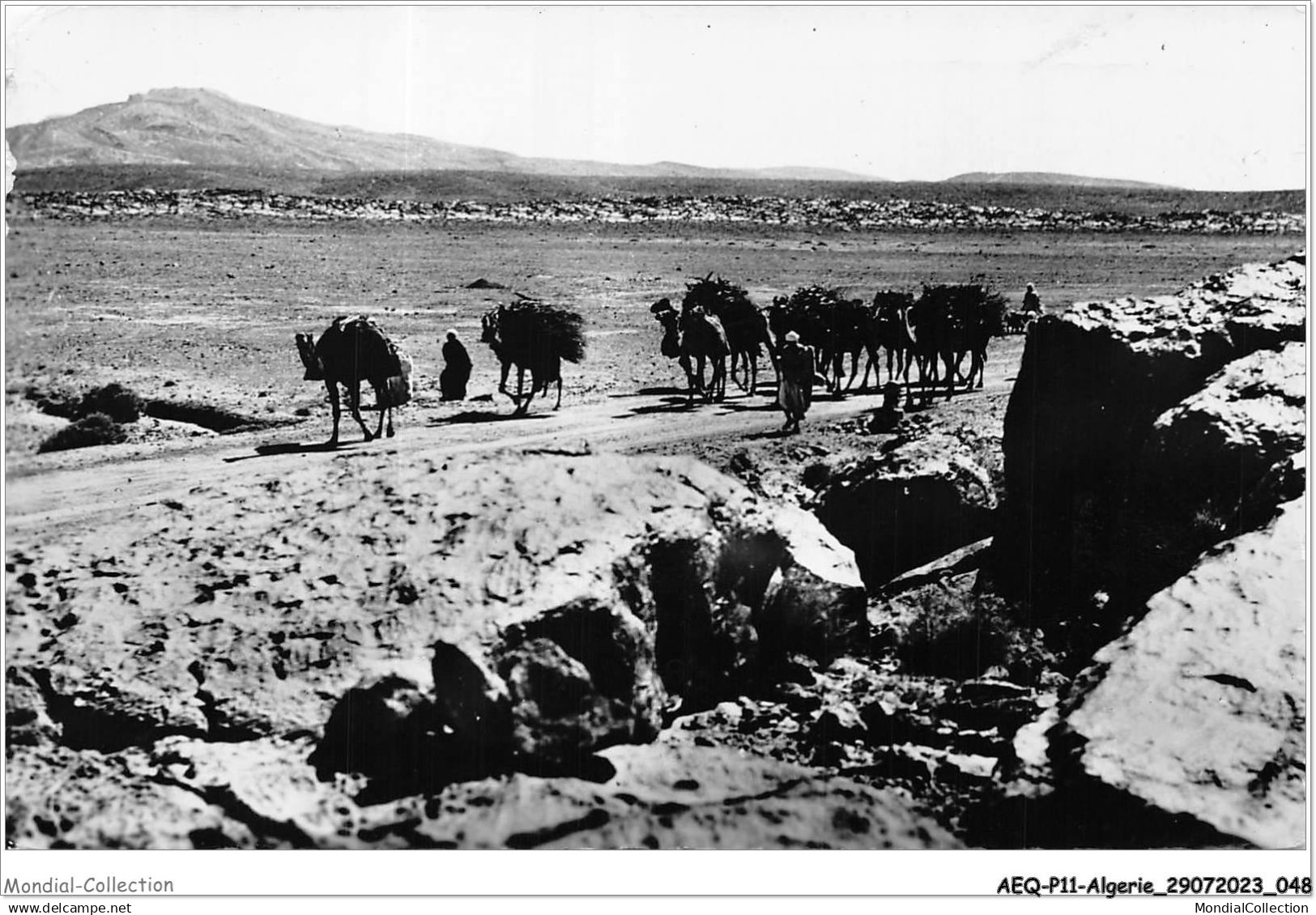 AEQP11-ALGERIE-0953 - collection - sahara - caravane