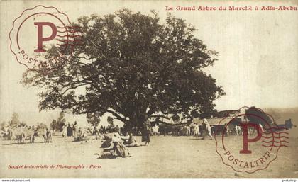 ETHIOPIE. ETIOPIA. Le Grand Arbre du Marché à Adis - Abeba