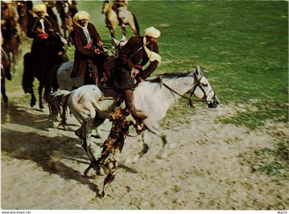 PC AFGHANISTAN, BUZKASHI, GOAT PULLING, NATIONAL SPORT, Modern Postcard (b48148)