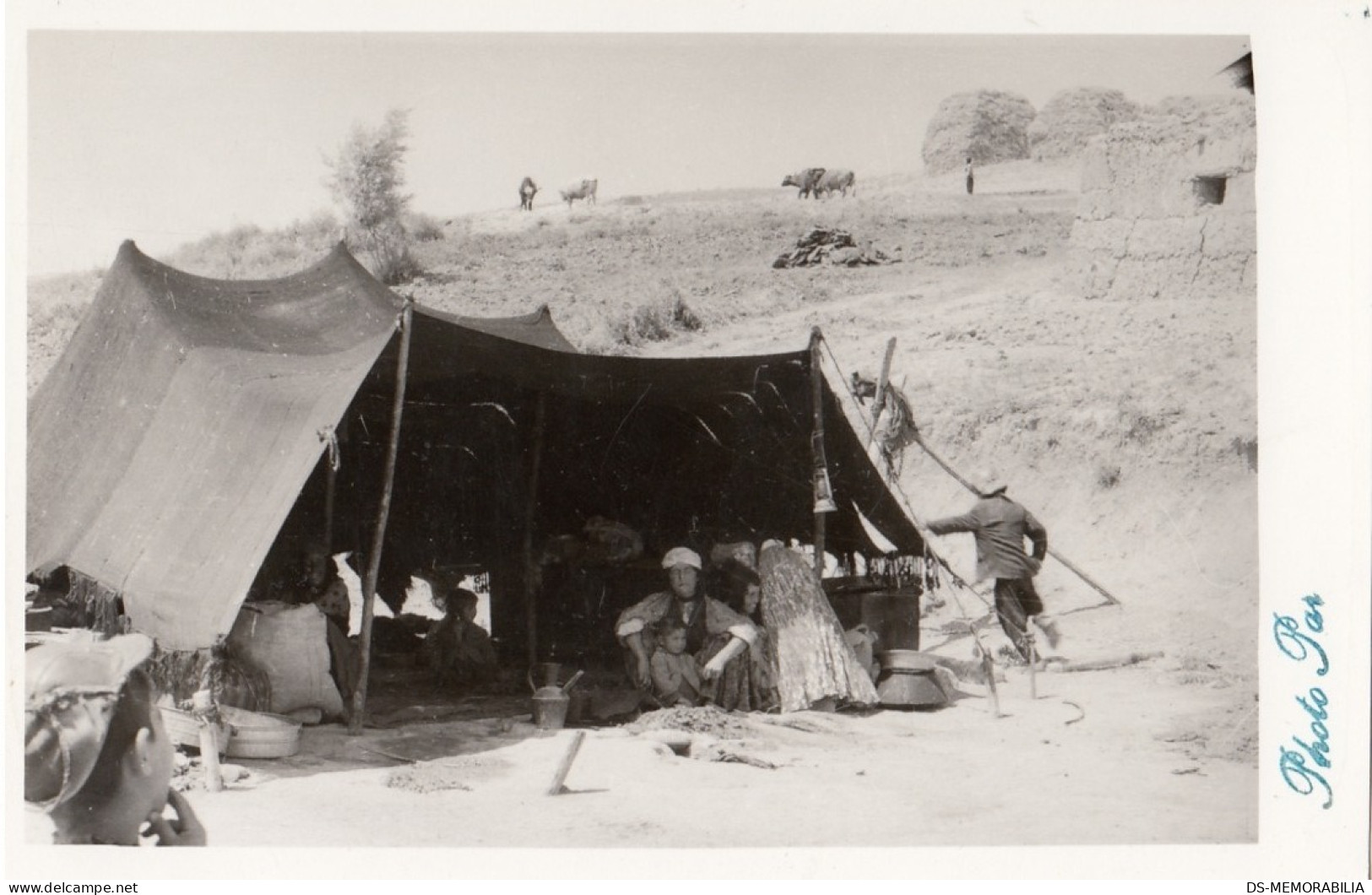 Afghanistan ? real photo postcard