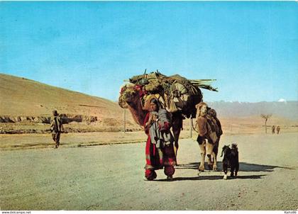 afghanistan * nomads