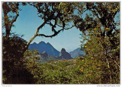 Afrique - La Réunion - les environs de Cilaos