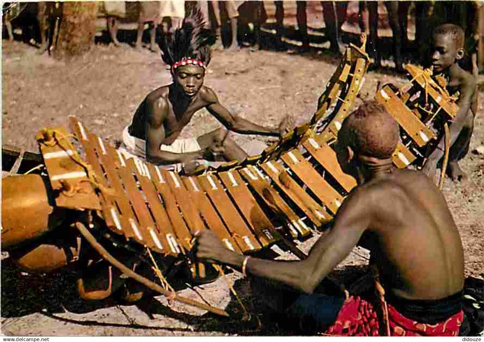 Afrique - Afrique en Couleurs - Joueurs de Balafon - CPM - Voir Scans Recto-Verso