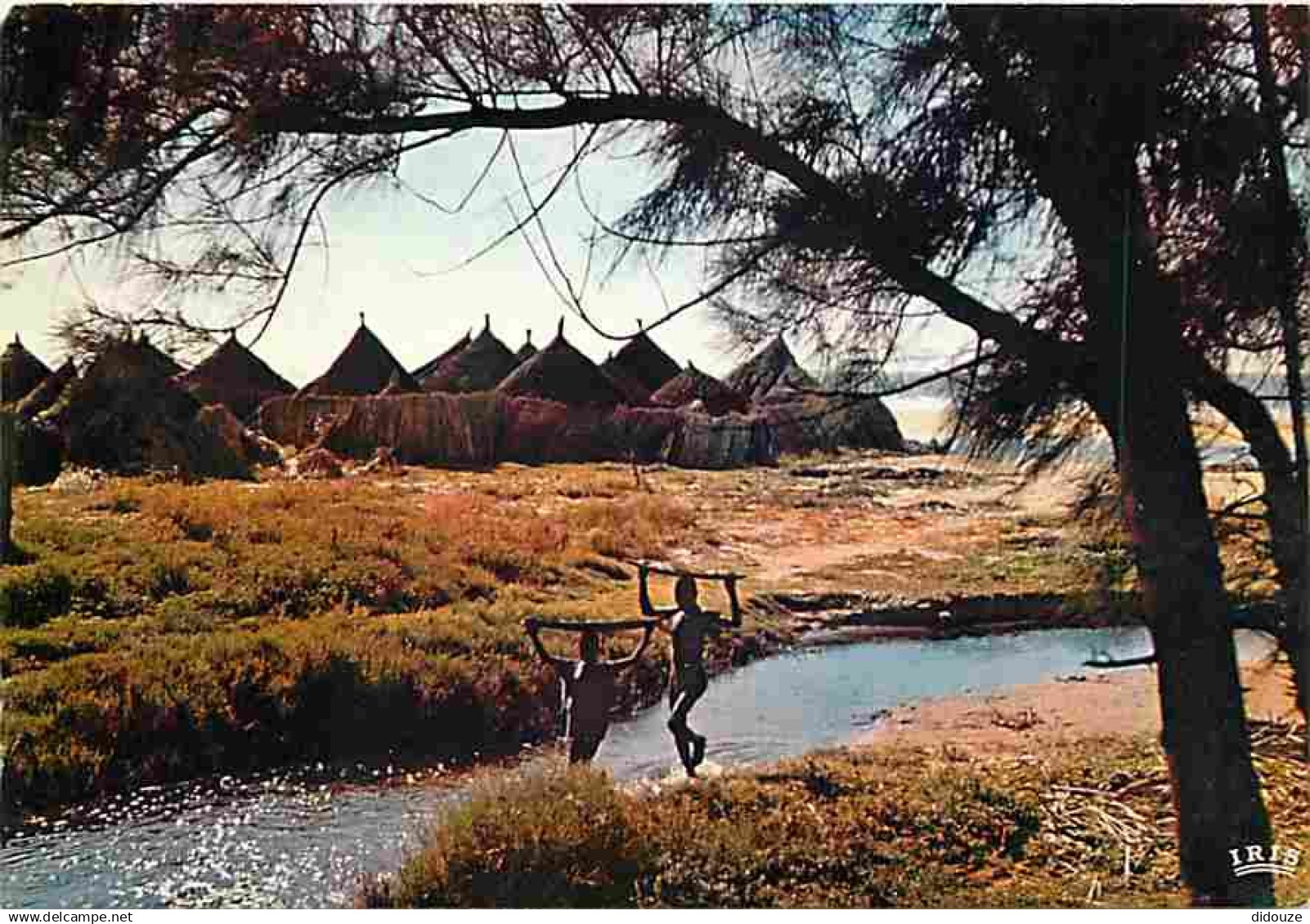 Afrique - Afrique en Couleurs - Village Africain - CPM - Voir Scans Recto-Verso