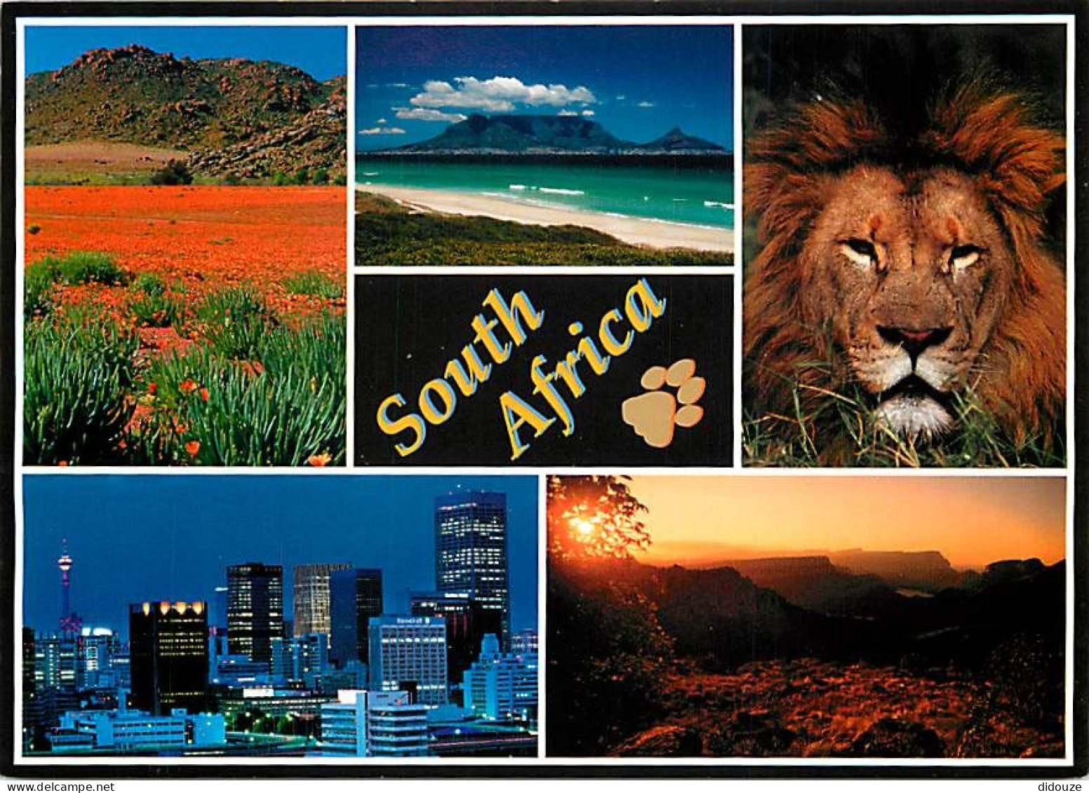 Afrique du Sud - South Africa - Multivues - CPM - Voir Scans Recto-Verso