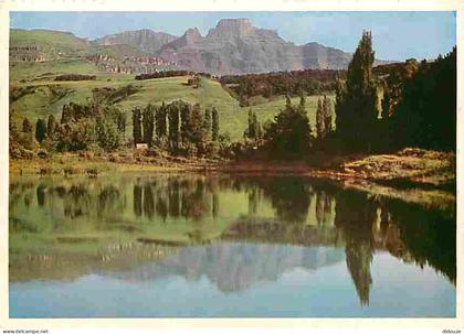 Afrique du Sud - South Africa - Drakensberg - CPM - Voir Scans Recto-Verso