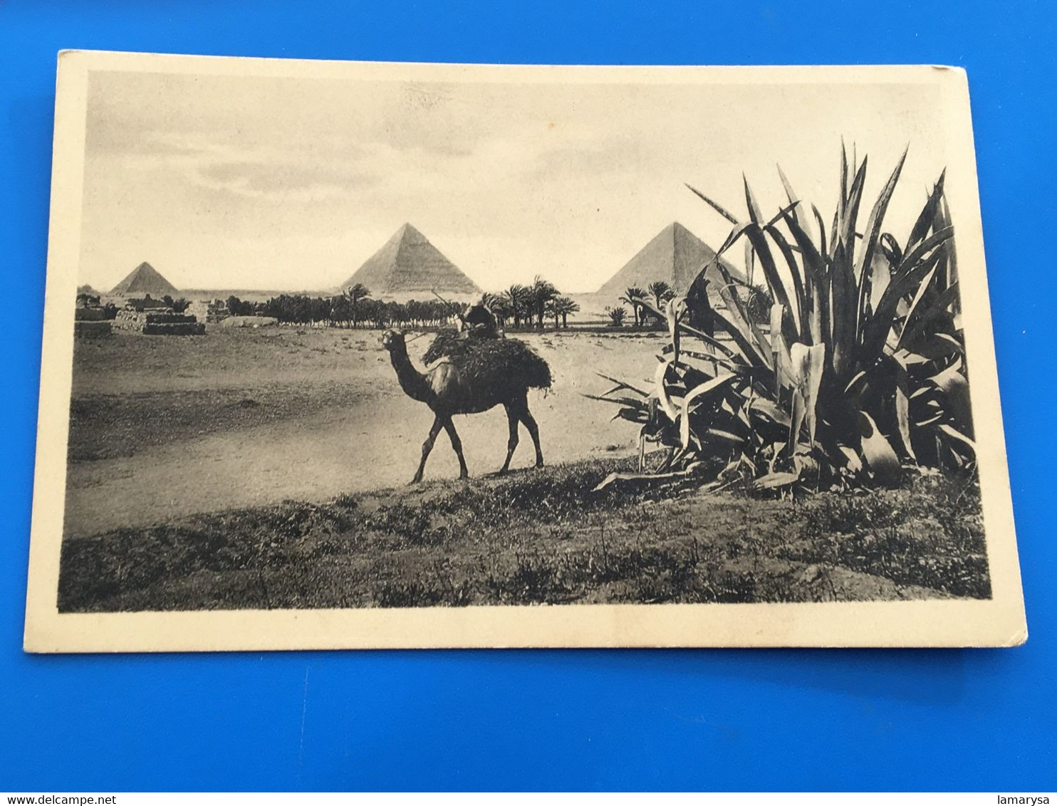 Afrique  Egypte Gizeh ,Le Caire,Cairo,Egypt EGYPTE-EGYPT-CPA Carte Postale-☛ The Pyramids of  Gizeh