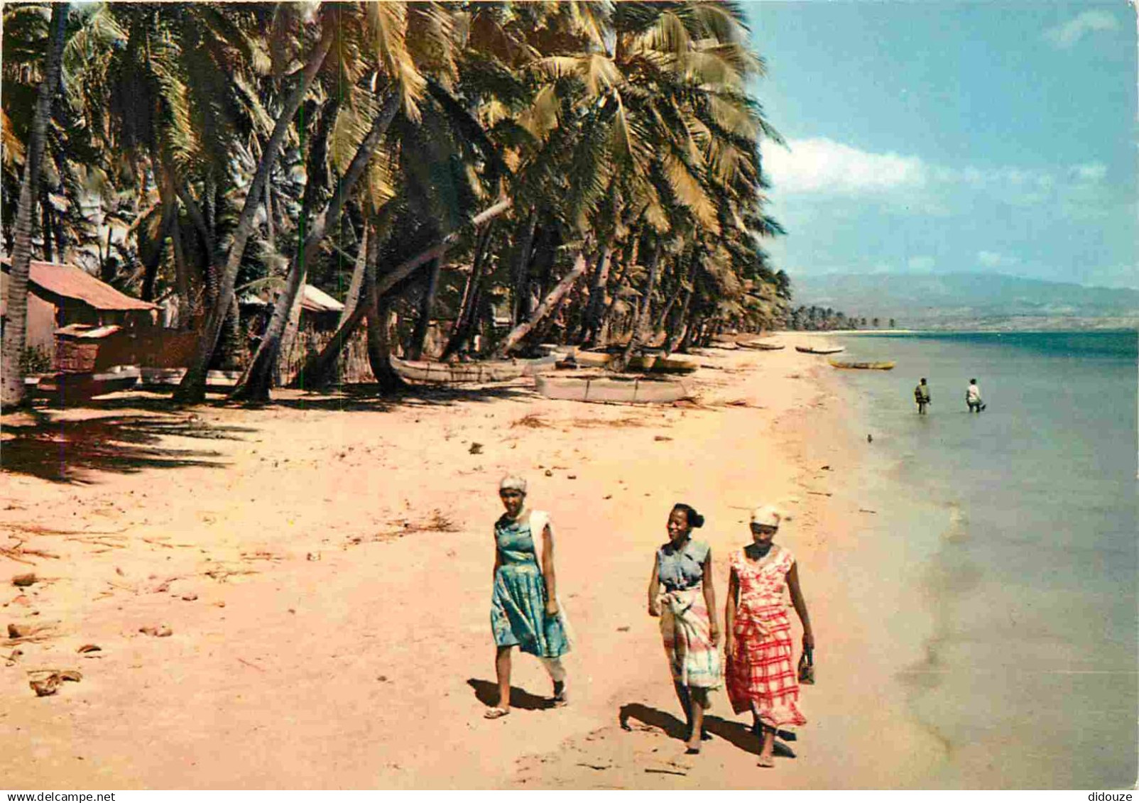 Afrique Noire - Afrique en Couleurs - 4259 - Plage de cocotiers - CPM - Carte neuve - Voir Scans Recto-Verso