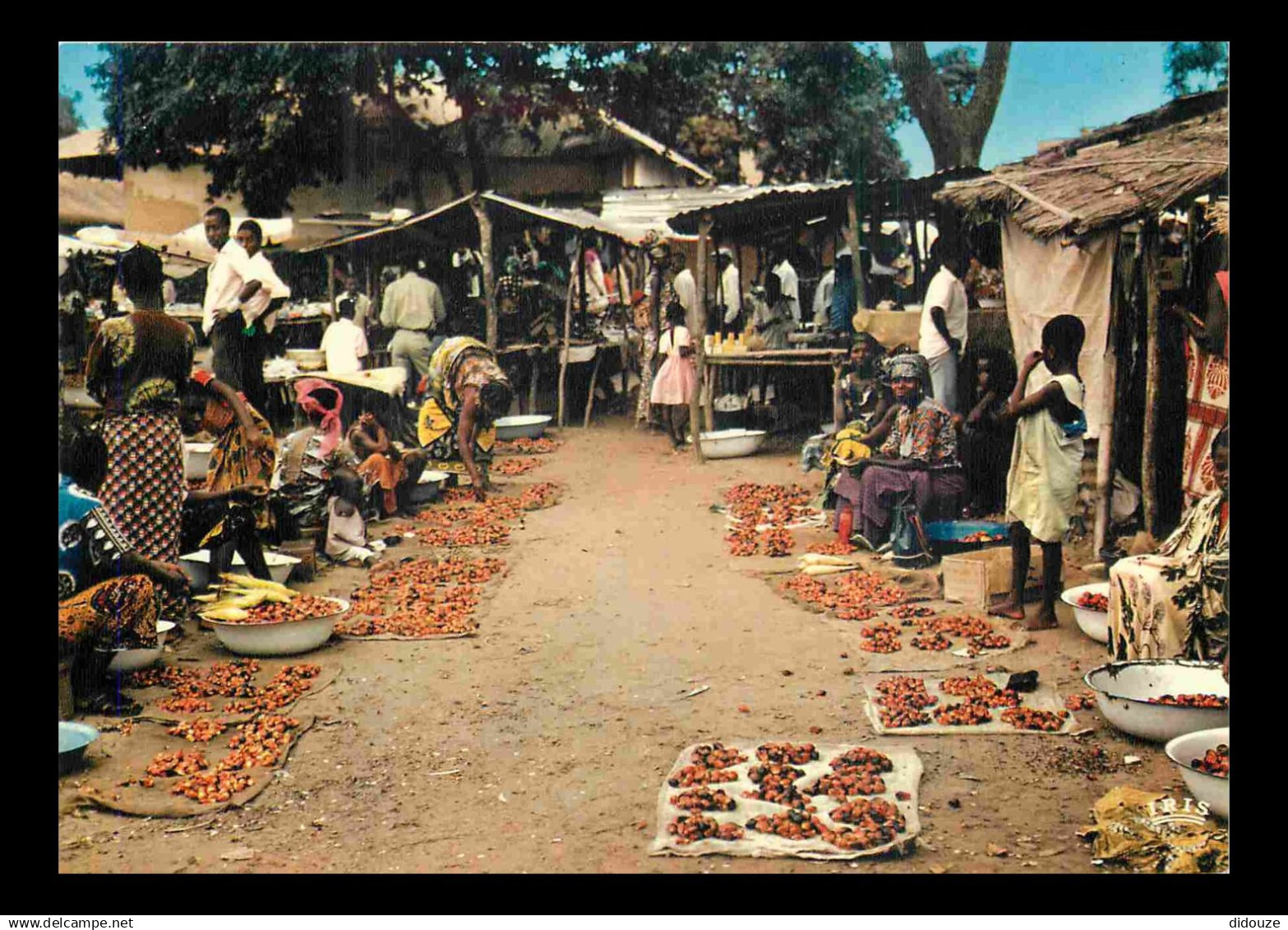 Afrique Noire - Afrique en Couleurs - 5513 - Marché Africain - CPM - Carte neuve - Voir Scans Recto-Verso