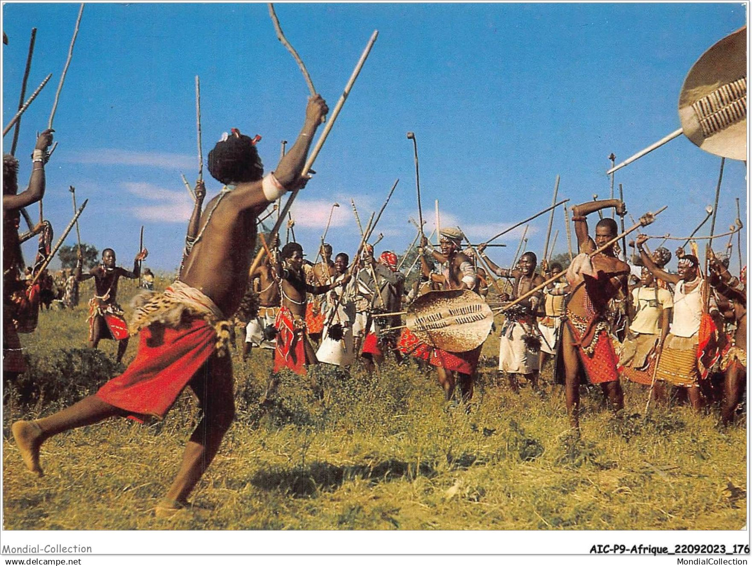 AICP9-AFRIQUE-1051 - SWAZILAND - Swazi warriors boisterously induige in a stick fight