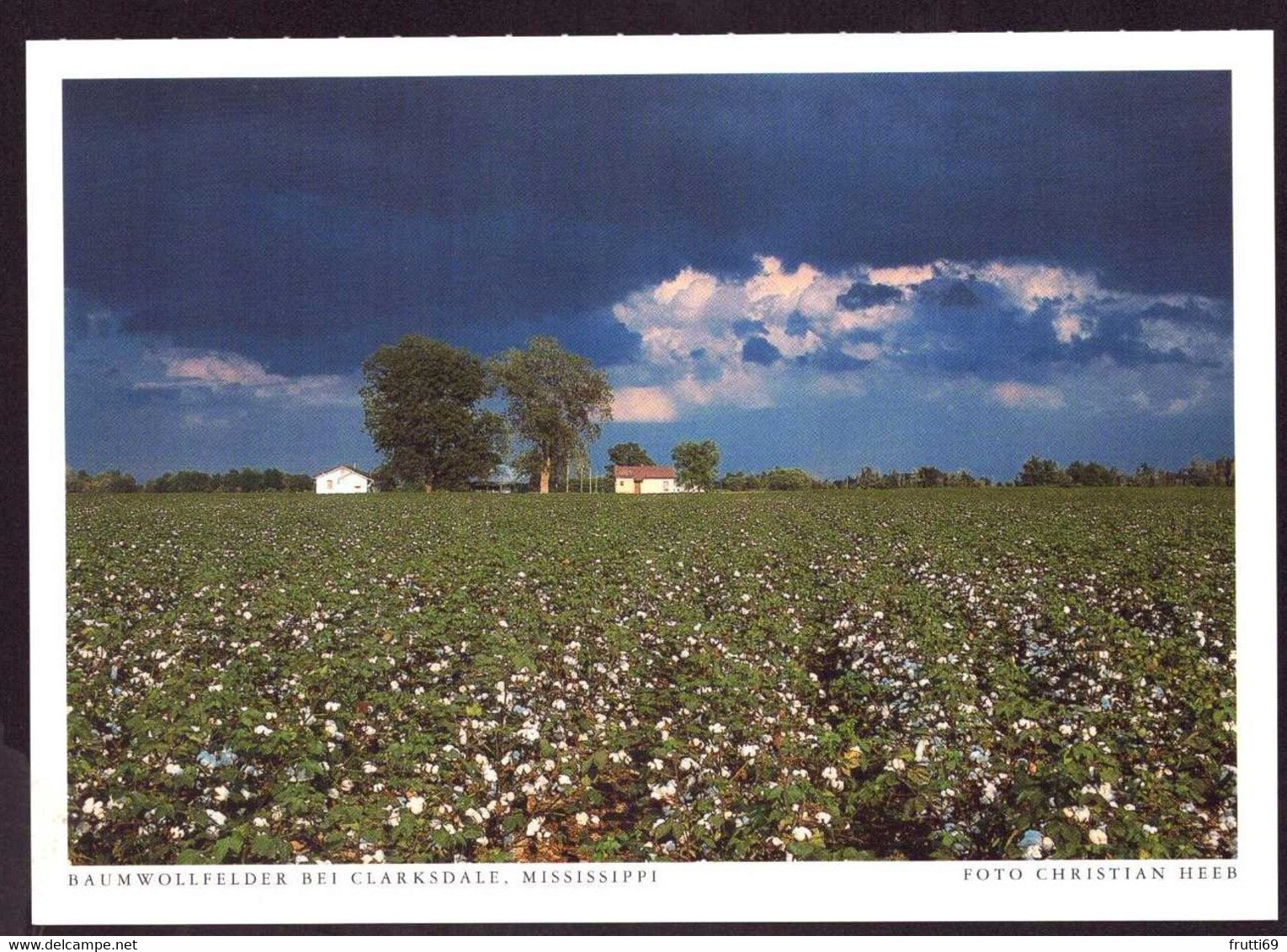 AK 001724 USA - Mississippi - Baumwollfelder bei Clarksdale