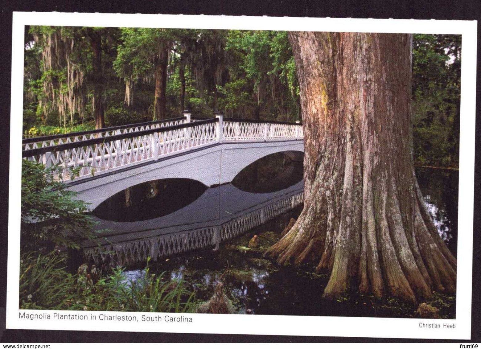 AK 001854 USA - South Carolina - Charleston - Magnolia Plantation