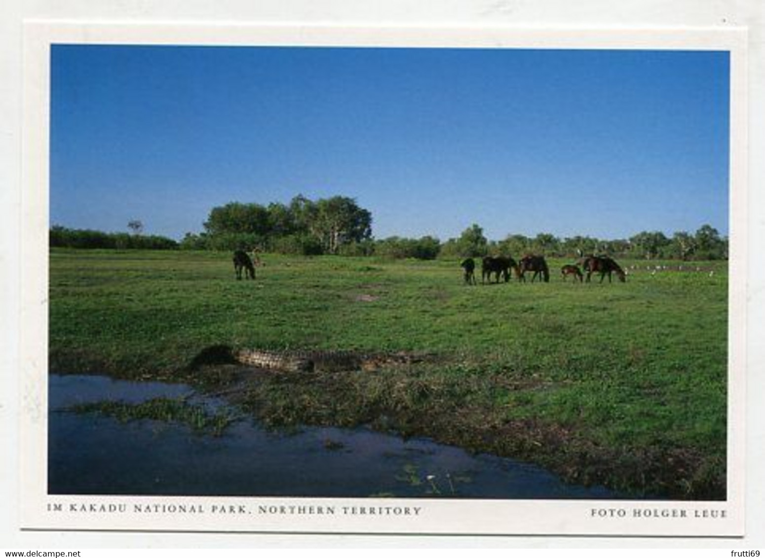 AK 06585 AUSTRALIA - Northern Territory - Im Kakadu National Park