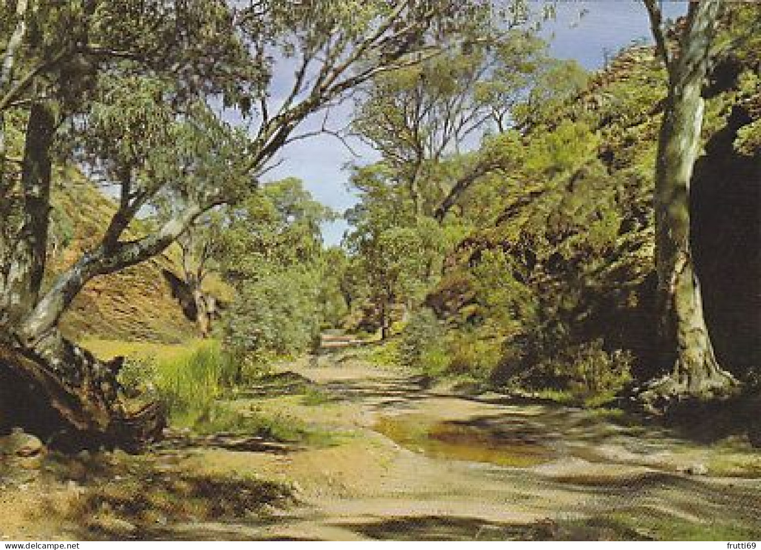 AK 165192 AUSTRALIA - South Australia - Flinders Ranges