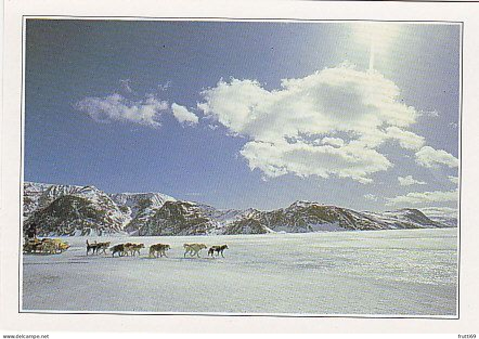 AK 180863 CANADA - Labrador - Waldläufer