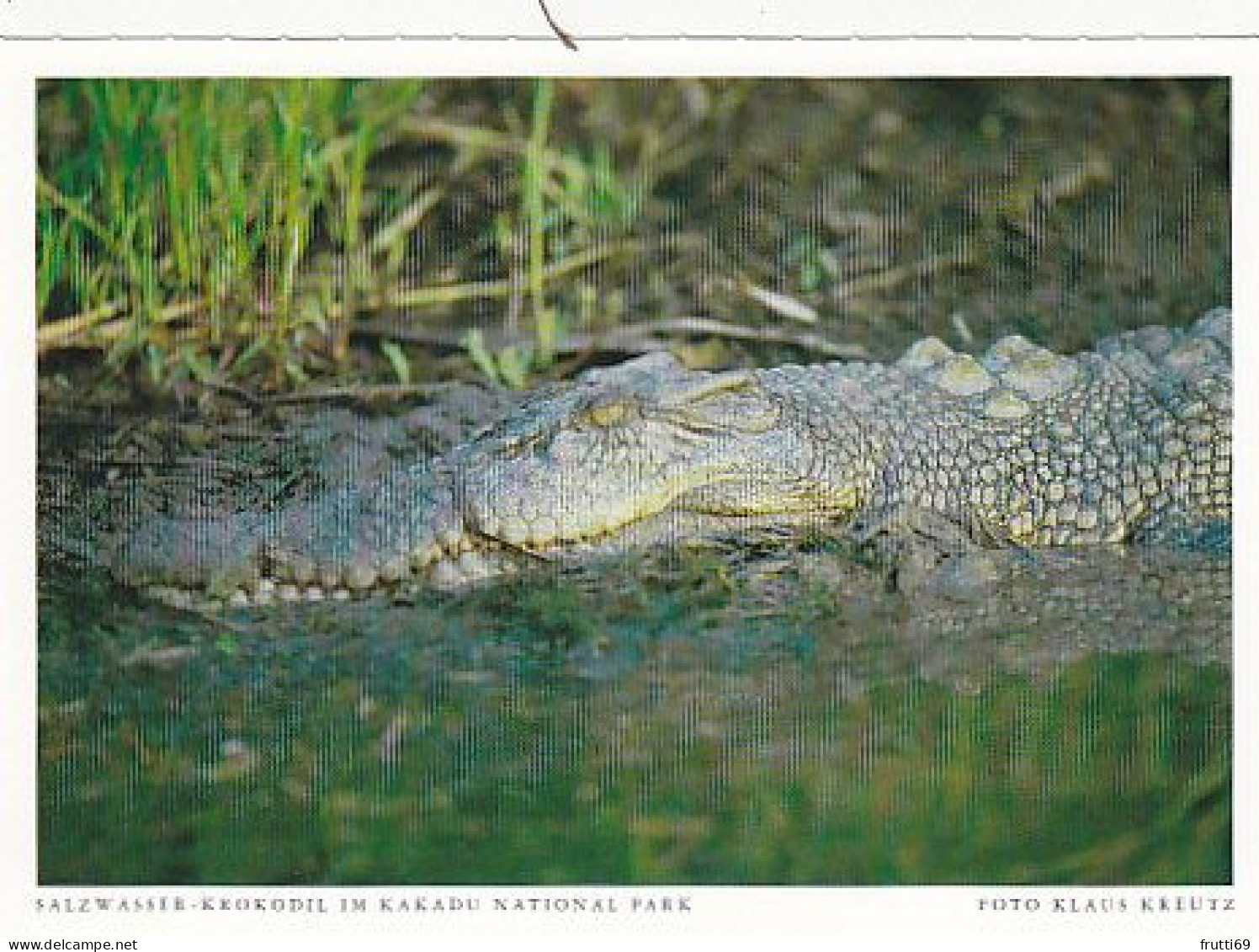 AK 185951 AUSTRALIA - Kakadu National Park - Salzwasser-Krokodil