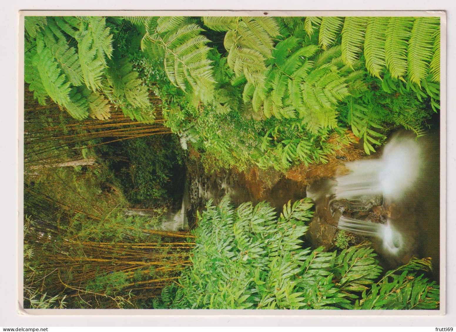 AK 197725 USA - Hawaii - Akaka Falls St. Park