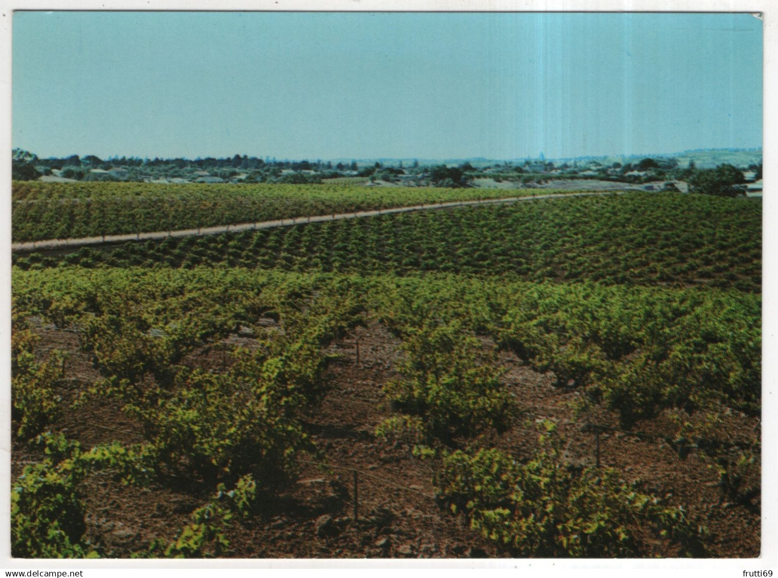 AK 228540 AUSTRALIA - Barossa Valley - vineyards