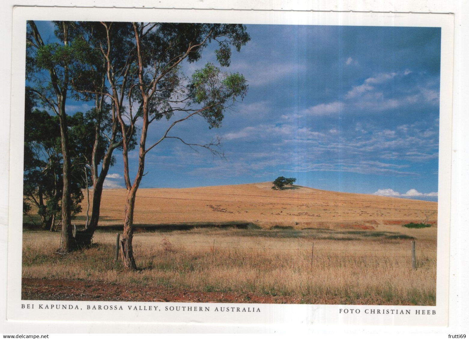 AK 228562 AUSTRALIA - Barossa Valley - bei Kapunda