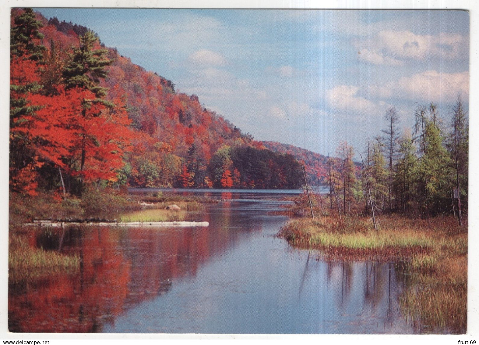 AK 229962 USA - New York - Adirondack Autumn Stream