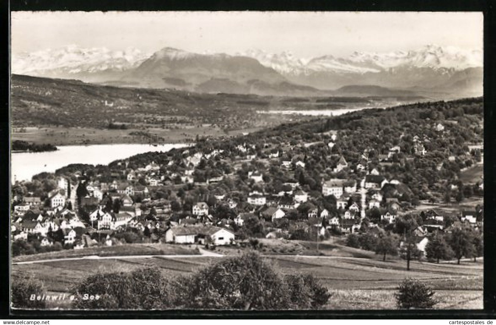 AK Beinwil am See, Gesamtansicht mit Alpenpanorama