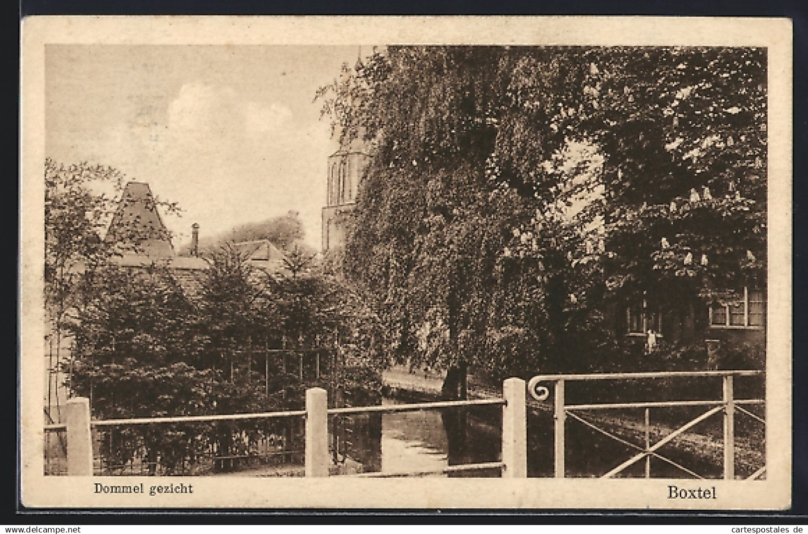 AK Boxtel, Dommel gezicht