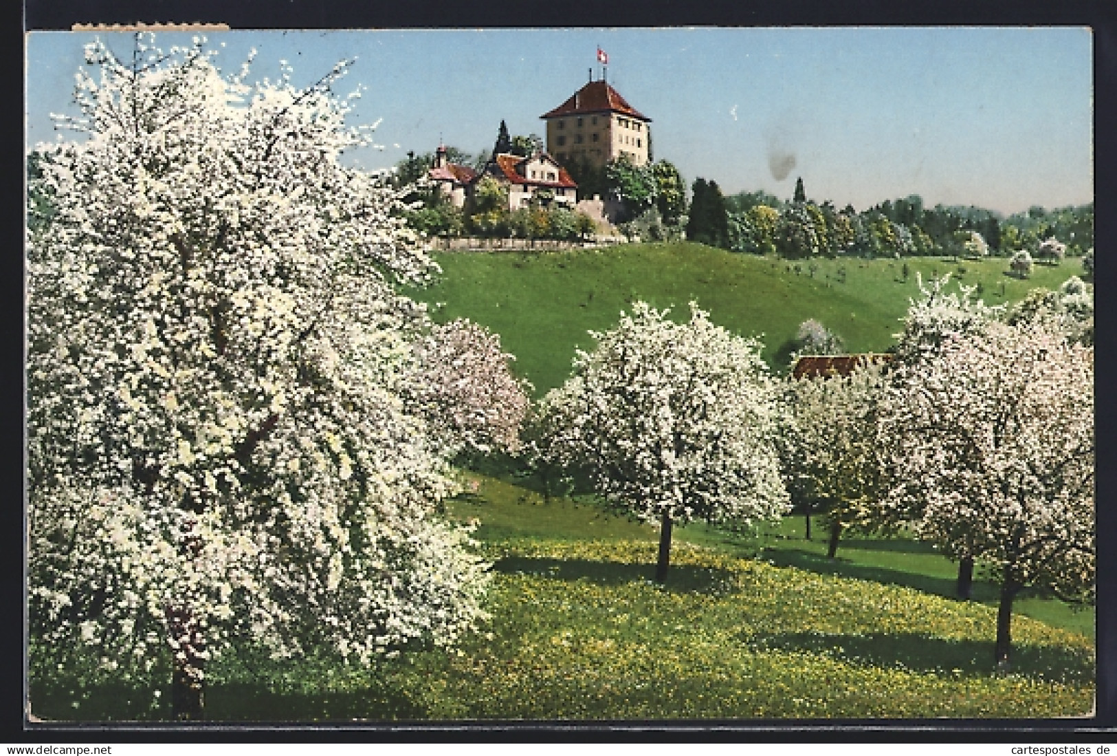 AK Gelfingen /Seetal, Schloss Heidegg bei Baumblüte