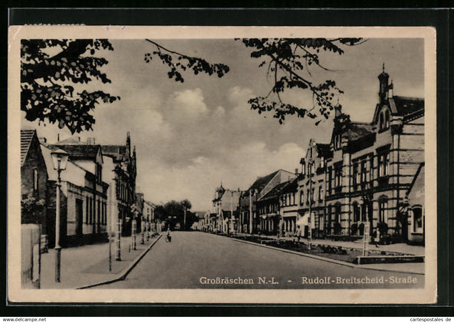 AK Grossräschen /N.-L., Rudolf-Breitscheid-Strasse mit Bäumen