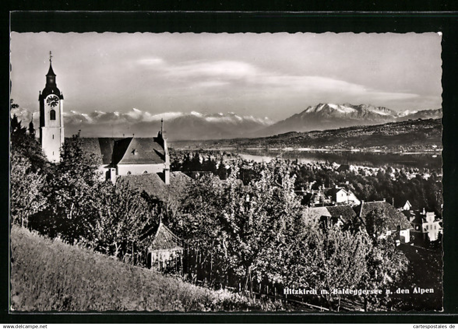 AK Hitzkirch, Gesamtansicht mit Baldeggersee und Alpen