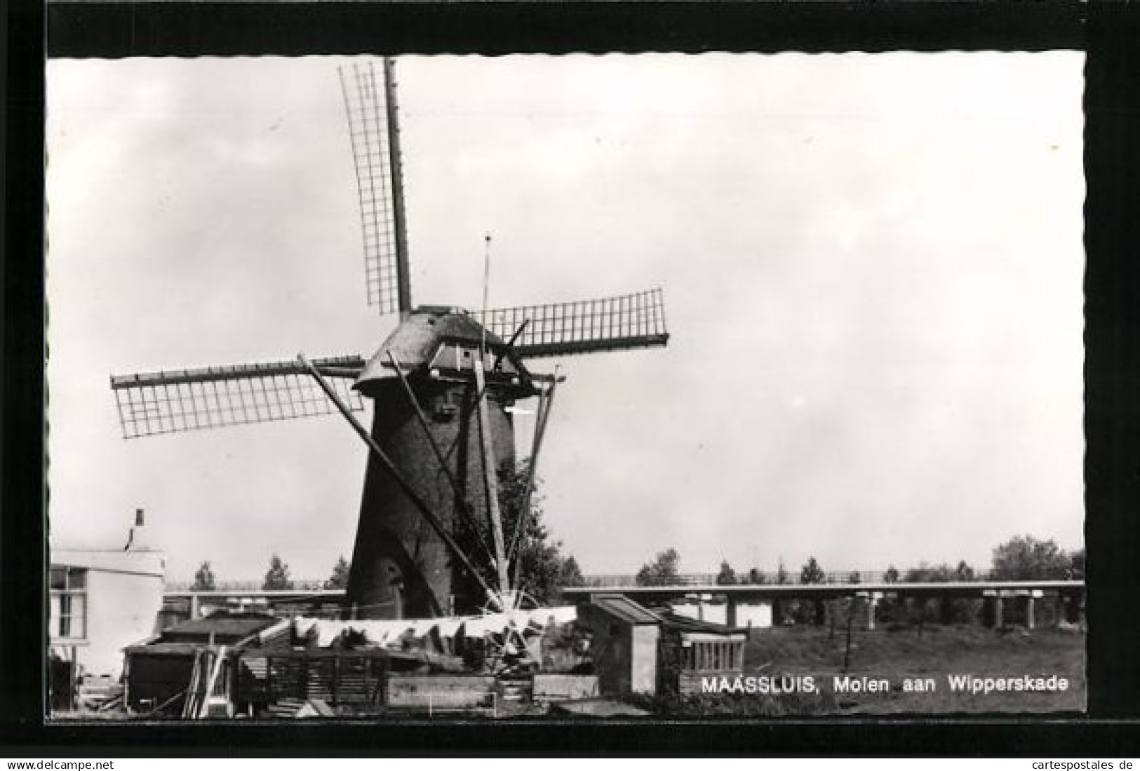 AK Maassluis, Molen aan Wipperskade