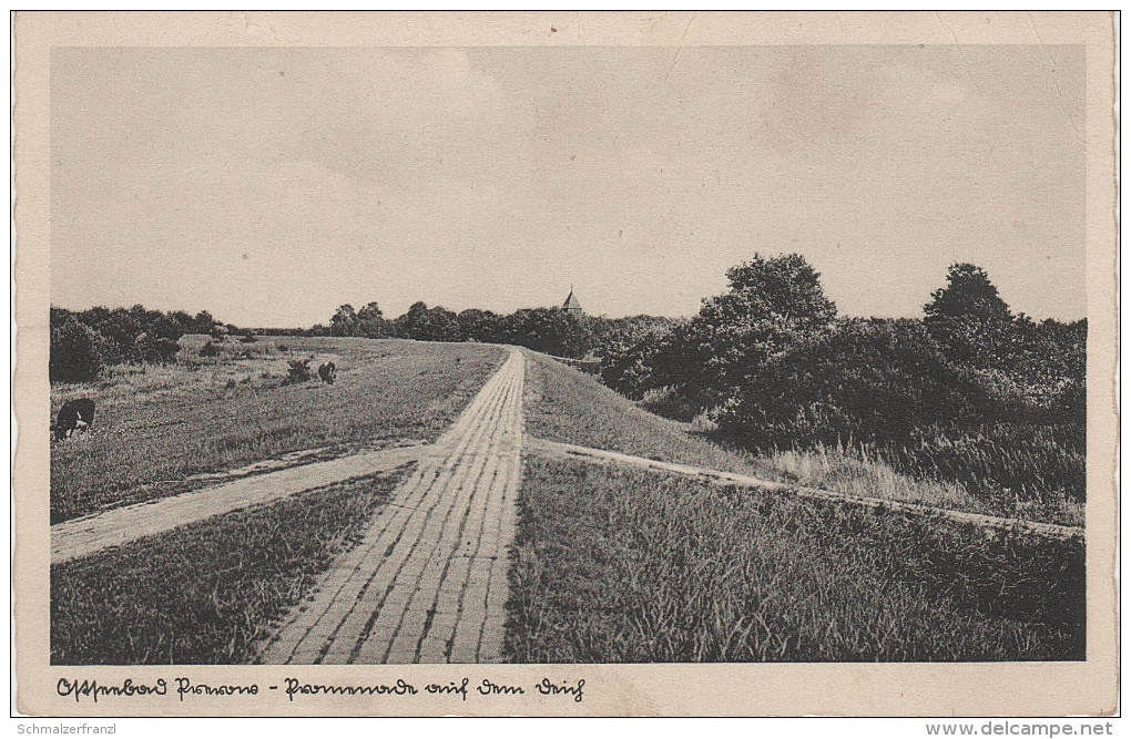 AK Ostseebad Prerow Promenade auf dem Deich ? Kirche Fischland Darss bei Zingst Barth Rostock