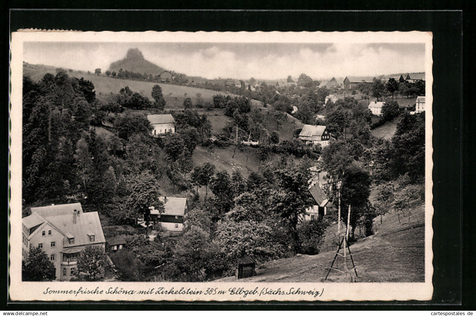 AK Schöna /Sächs. Schweiz, Ortsansicht mit Zirkelstein